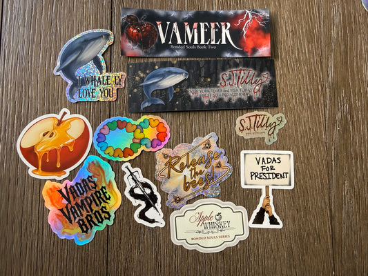 Vameer Snack Pack